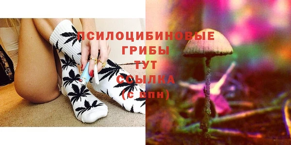 стафф Киреевск