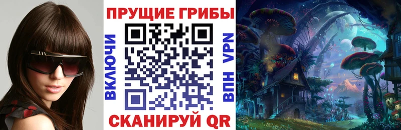 Псилоцибиновые грибы прущие грибы  Купить  Бикин 